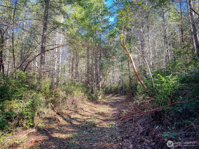 222 x Octopus Court, Quilcene, WA 98376