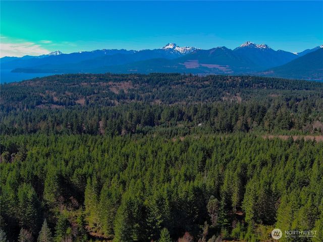 222 x Octopus Court, Quilcene, WA 98376