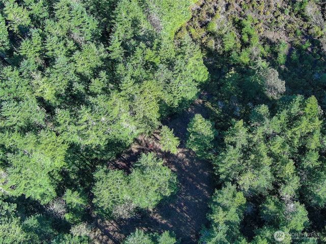 222 x Octopus Court, Quilcene, WA 98376