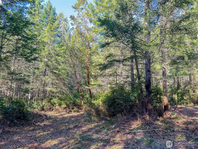 222 x Octopus Court, Quilcene, WA 98376