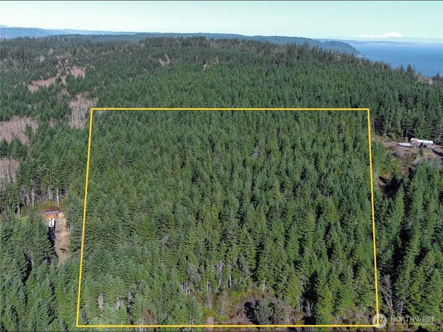 222 x Octopus Court, Quilcene, WA 98376