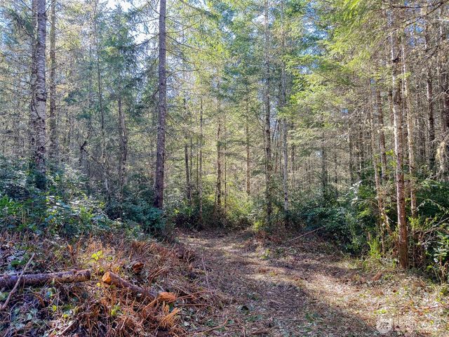 222 x Octopus Court, Quilcene, WA 98376