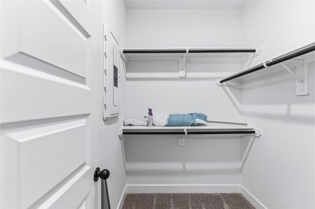 3125 Stingray Cove Drive, Katy, TX 77493