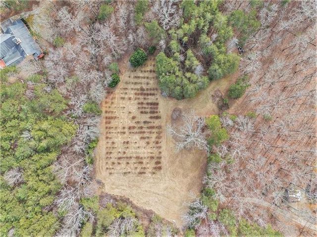 490 Dorsey Road, Hampton, GA 30228