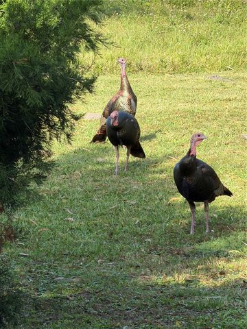 40 SHEOAH BOULEVARD 27, Winter Springs, FL 32708