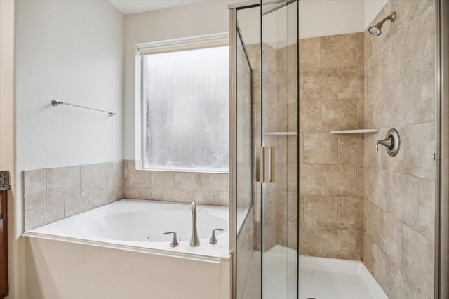 30 Black Swan Court, Magnolia, TX 77354