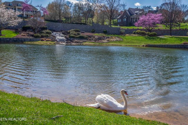 638 Barnsley Rd, Knoxville, TN 37934