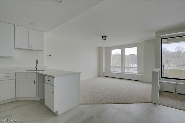 2 Bratenahl Place 2D, Bratenahl, OH 44108