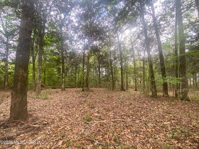 Donniebrook Lane, Escatawpa, MS 39552