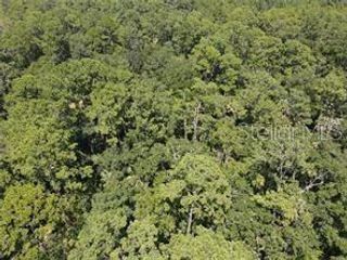 SALYERS ROAD, Clermont, FL 34714