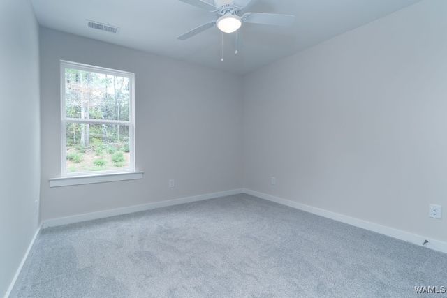 22132 Cove Lane, Woodstock, AL 35111