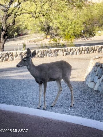 4920 W Harris Hawk Place, Tucson, AZ 85745