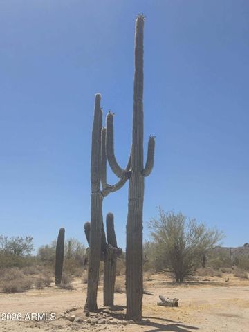 1523 S WARREN Road, Maricopa, AZ 85139