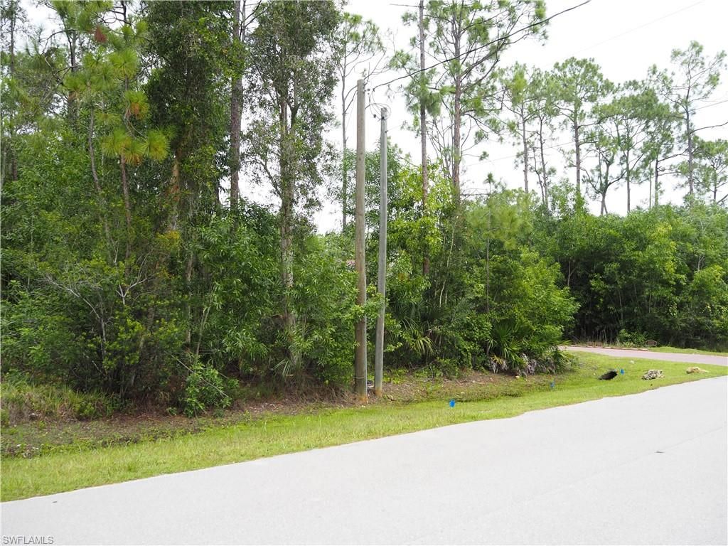 24310 Golden Eagle LN, BONITA SPRINGS, FL 34135 — photo 3