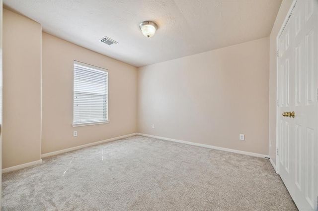 28 Carmel Chase Court, Manvel, TX 77578
