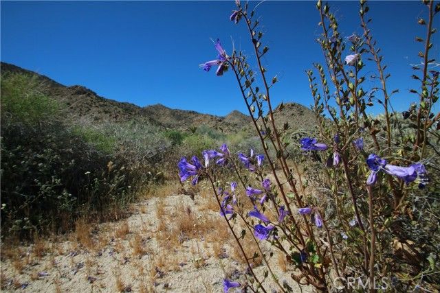 0 San Andreas Road, Joshua Tree, CA 92252