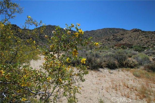 0 San Andreas Road, Joshua Tree, CA 92252