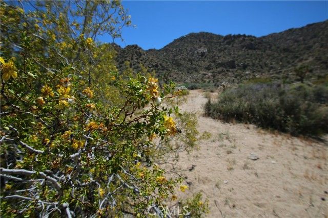 0 San Andreas Road, Joshua Tree, CA 92252