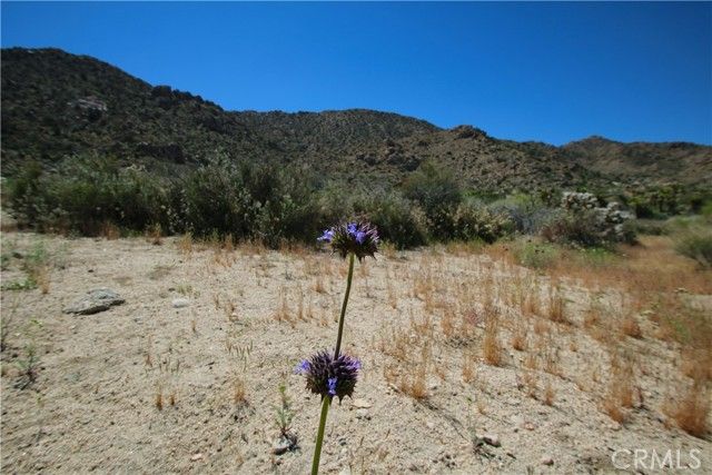 0 San Andreas Road, Joshua Tree, CA 92252