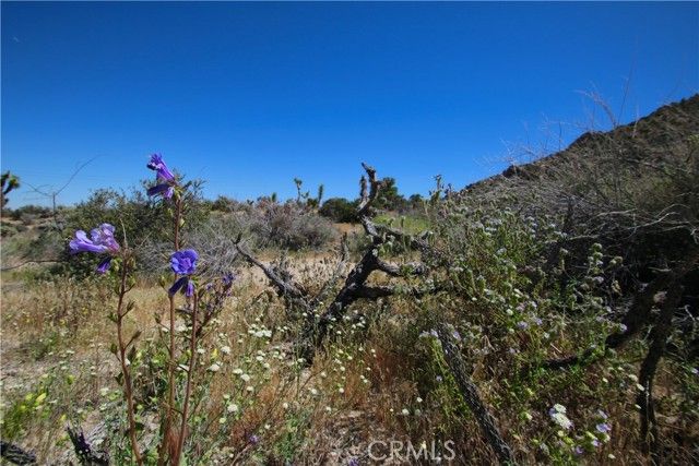 0 San Andreas Road, Joshua Tree, CA 92252