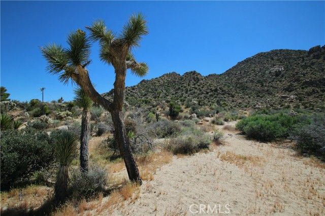 0 San Andreas Road, Joshua Tree, CA 92252