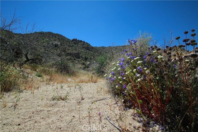 0 San Andreas Road, Joshua Tree, CA 92252