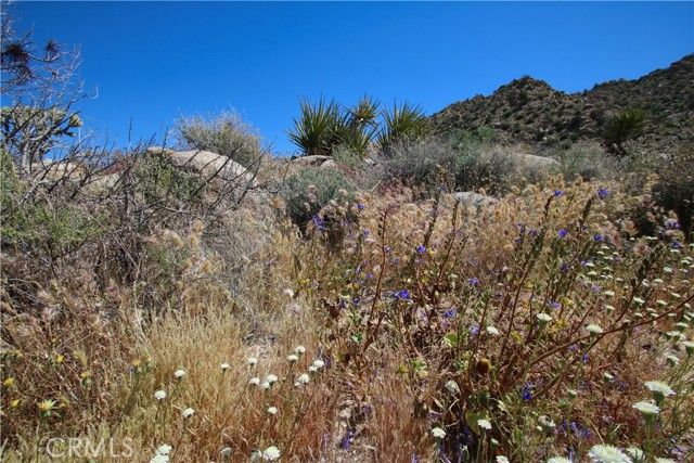 0 San Andreas Road, Joshua Tree, CA 92252