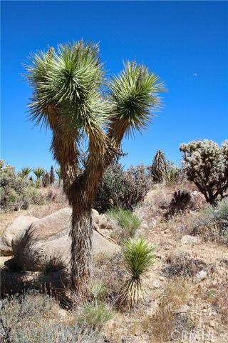 0 San Andreas Road, Joshua Tree, CA 92252