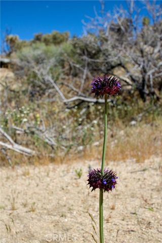 0 San Andreas Road, Joshua Tree, CA 92252