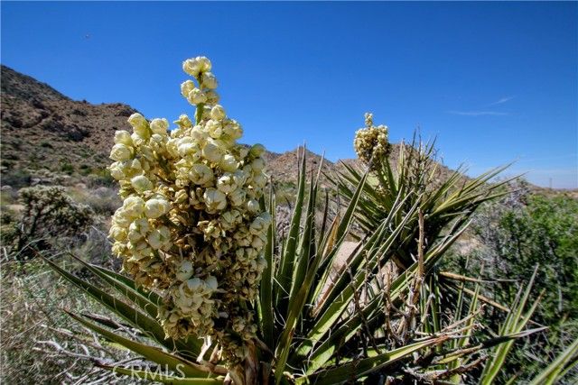 0 San Andreas Road, Joshua Tree, CA 92252