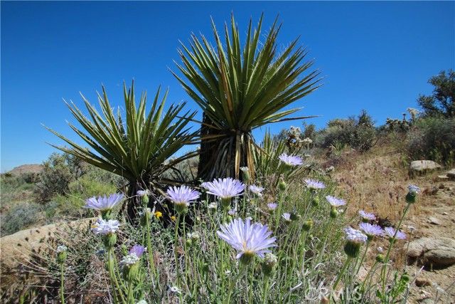 0 San Andreas Road, Joshua Tree, CA 92252