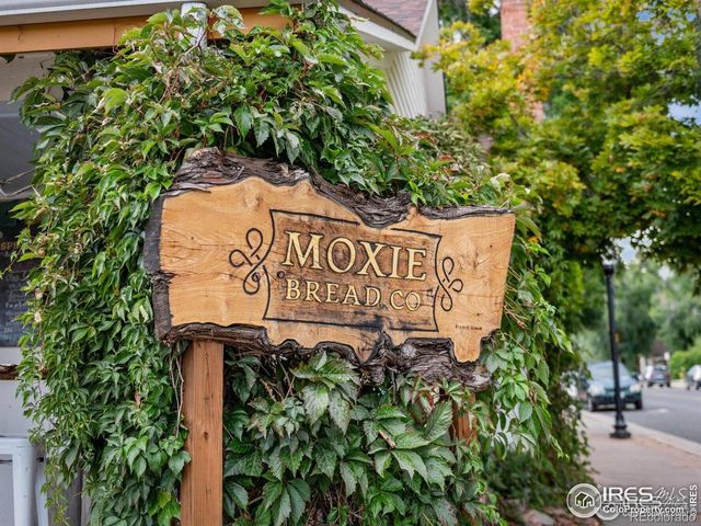 518 W Cactus Court, Louisville, CO 80027