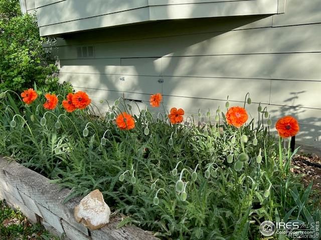 518 W Cactus Court, Louisville, CO 80027