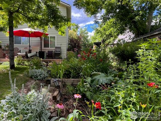 518 W Cactus Court, Louisville, CO 80027