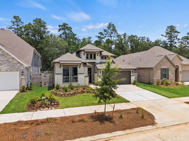 9154 Grand Jubilee Drive, Montgomery, TX 77316