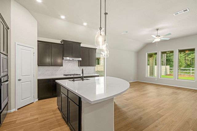 9154 Grand Jubilee Drive, Montgomery, TX 77316