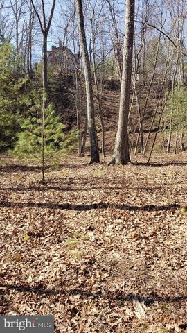 183 WILSON RD, Capon Bridge, WV 26711