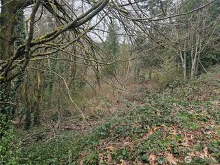 194 XX Forest Park Drive NE, Lake Forest Park, WA 98155