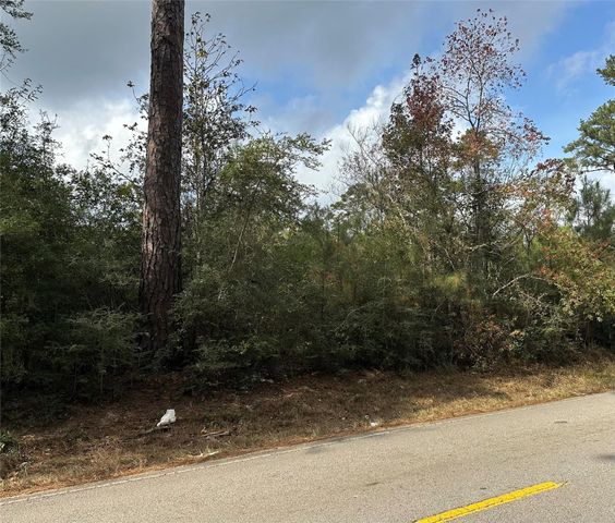 19234 Fm 2090 Rd, Conroe, TX 77358