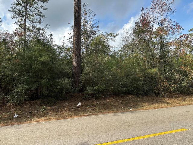 19234 Fm 2090 Rd, Conroe, TX 77358