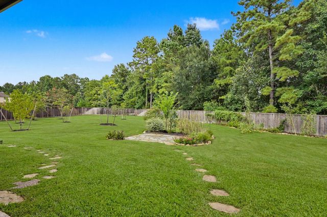 187 Wade Pointe Drive, Montgomery, TX 77316