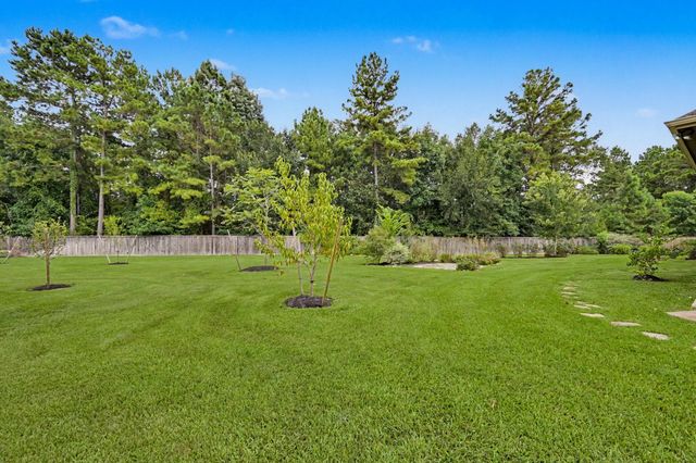 187 Wade Pointe Drive, Montgomery, TX 77316