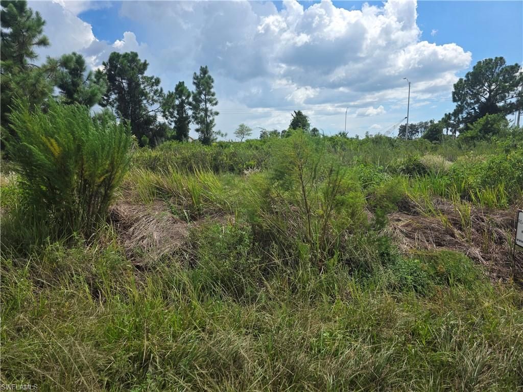 3044 Meadow RD, LEHIGH ACRES, FL 33974 — photo 2