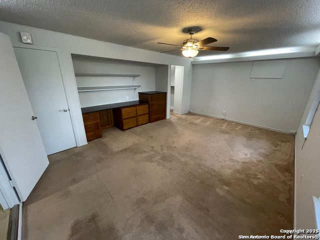 427 Indigo, San Antonio, TX 78216