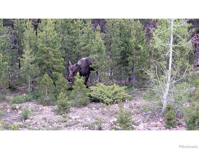557 Highpoint Circle, Black Hawk, CO 80422