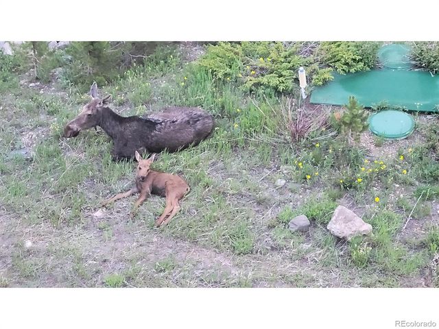 557 Highpoint Circle, Black Hawk, CO 80422