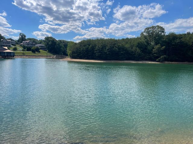 459 Hillcrest Heights DR, Moneta, VA 24121