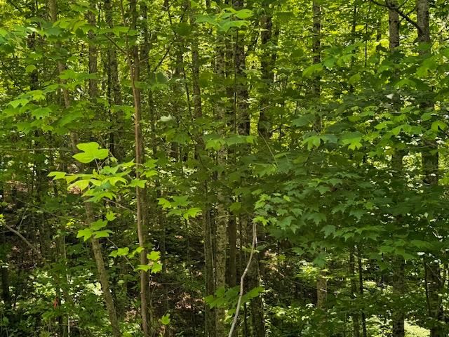 85 Cedar Road, Ellijay, GA 30540