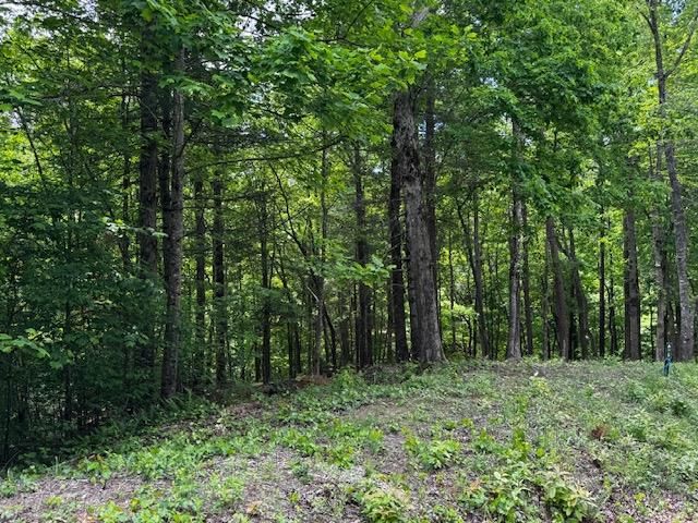 85 Cedar Road, Ellijay, GA 30540