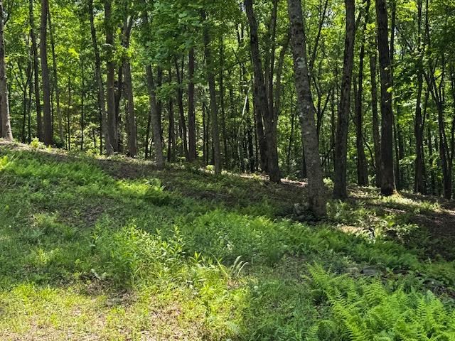 85 Cedar Road, Ellijay, GA 30540